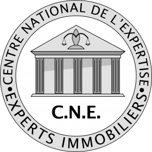 Logo-CNE